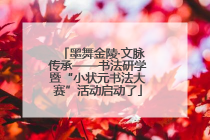 墨舞金陵·文脉传承——书法研学暨“小状元书法大赛”活动启动了