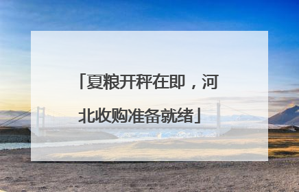 夏粮开秤在即，河北收购准备就绪