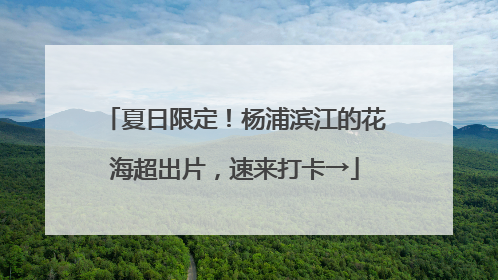 夏日限定！杨浦滨江的花海超出片，速来打卡→