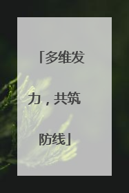 多维发力，共筑防线