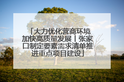 大力优化营商环境 加快高质量发展丨张家口制定要素需求清单推进重点项目建设