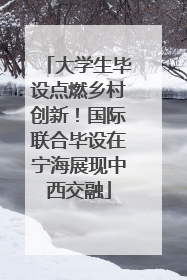 大学生毕设点燃乡村创新！国际联合毕设在宁海展现中西交融