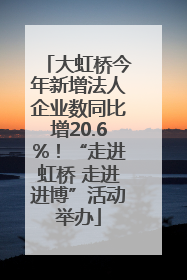 大虹桥今年新增法人企业数同比增20.6%！“走进虹桥 走进进博”活动举办