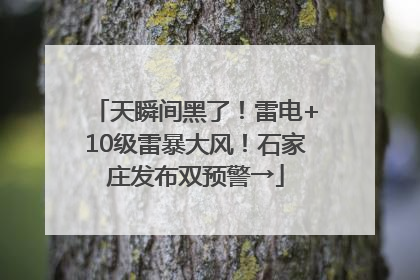 天瞬间黑了！雷电+10级雷暴大风！石家庄发布双预警→