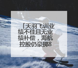 天羽飞训业绩不佳且无业绩补偿，海航控股仍豪掷8亿收购丨一周市场观察
