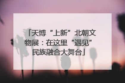 天博“上新”北朝文物展：在这里“遇见”民族融合大舞台