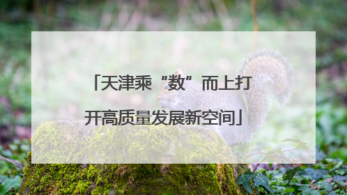 天津乘“数”而上打开高质量发展新空间