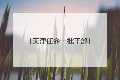 天津任命一批干部
