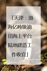 天津：渤海亿吨级油田海上平台陆地建造工作收官