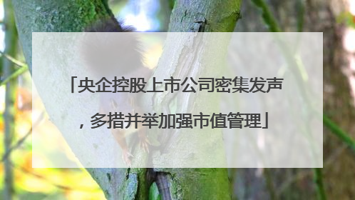 央企控股上市公司密集发声，多措并举加强市值管理