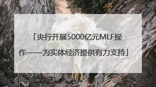 央行开展5000亿元MLF操作——为实体经济提供有力支持