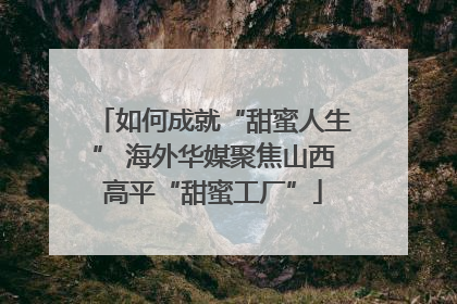 如何成就“甜蜜人生” 海外华媒聚焦山西高平“甜蜜工厂”