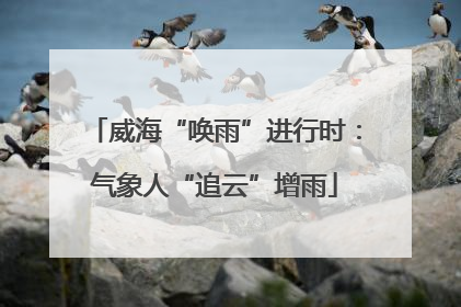 威海“唤雨”进行时：气象人“追云”增雨