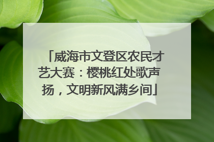 威海市文登区农民才艺大赛：樱桃红处歌声扬，文明新风满乡间