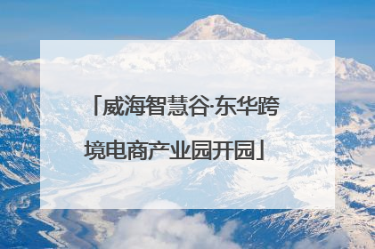 威海智慧谷·东华跨境电商产业园开园