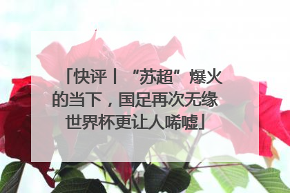 快评丨“苏超”爆火的当下，国足再次无缘世界杯更让人唏嘘