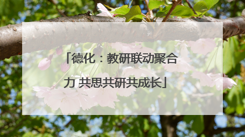 德化：教研联动聚合力 共思共研共成长