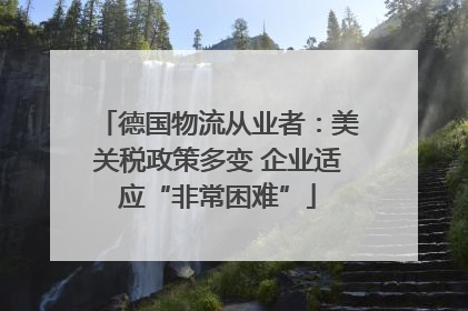 德国物流从业者：美关税政策多变 企业适应“非常困难”