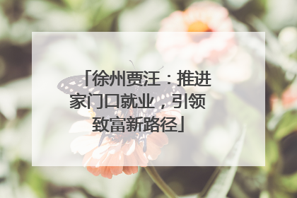 徐州贾汪：推进家门口就业，引领致富新路径