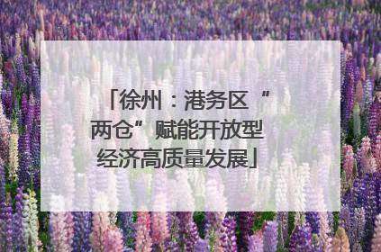 徐州：港务区“两仓”赋能开放型经济高质量发展