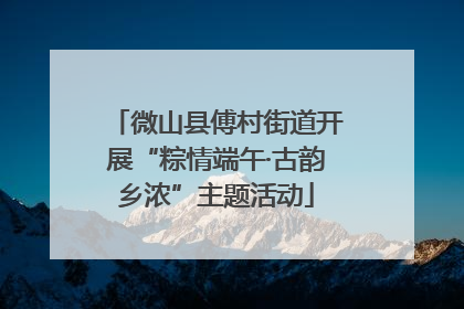 微山县傅村街道开展“粽情端午·古韵乡浓”主题活动