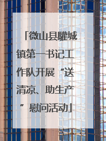 微山县驩城镇第一书记工作队开展“送清凉、助生产”慰问活动