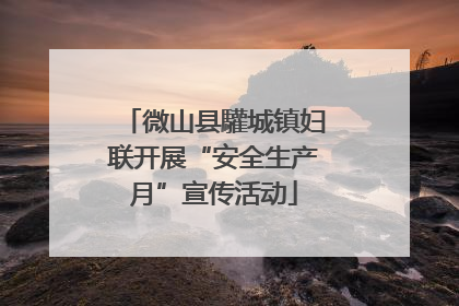 微山县驩城镇妇联开展“安全生产月”宣传活动