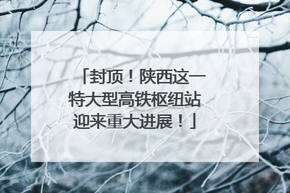 封顶！陕西这一特大型高铁枢纽站迎来重大进展！