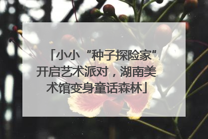 小小“种子探险家”开启艺术派对，湖南美术馆变身童话森林