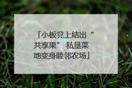 小板凳上结出“共享果” 私垦菜地变身睦邻农场