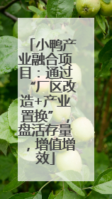 小鸭产业融合项目：通过“厂区改造+产业置换”，盘活存量，增值增效