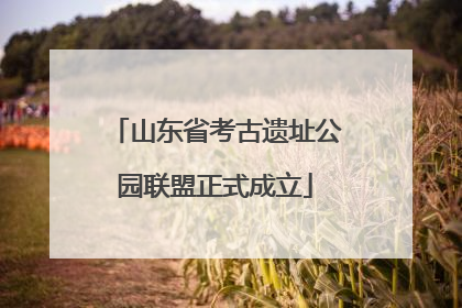 山东省考古遗址公园联盟正式成立