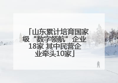 山东累计培育国家级“数字领航”企业18家 其中民营企业牵头10家