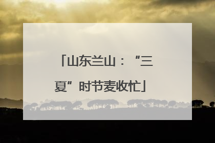 山东兰山：“三夏”时节麦收忙