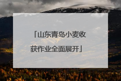 山东青岛小麦收获作业全面展开