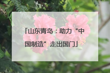 山东青岛：助力“中国制造”走出国门