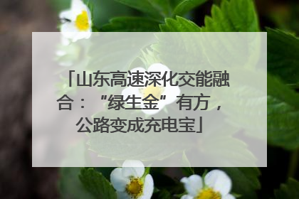 山东高速深化交能融合：“绿生金”有方，公路变成充电宝