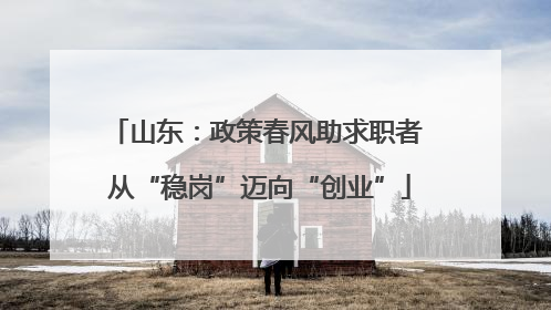 山东：政策春风助求职者 从“稳岗”迈向“创业”