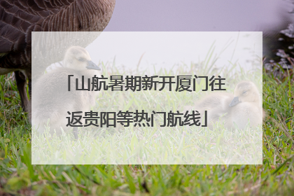 山航暑期新开厦门往返贵阳等热门航线