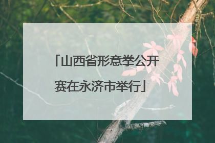 山西省形意拳公开赛在永济市举行