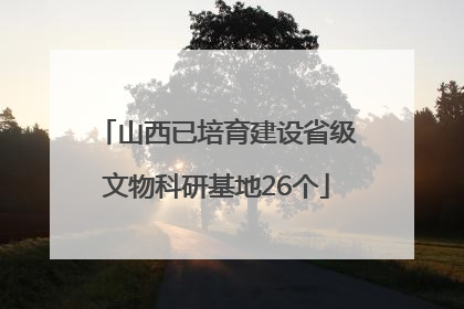 山西已培育建设省级文物科研基地26个