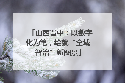山西晋中：以数字化为笔，绘就“全域智治”新图景
