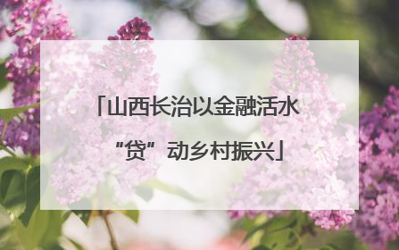山西长治以金融活水“贷”动乡村振兴