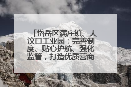 岱岳区满庄镇、大汶口工业园：完善制度、贴心护航、强化监管，打造优质营商“强磁场”