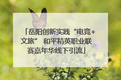 岳阳创新实践“电竞+文旅” 和平精英职业联赛嘉年华线下引流