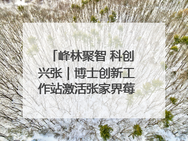 峰林聚智 科创兴张｜博士创新工作站激活张家界莓茶产业新动能