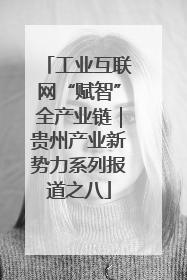 工业互联网“赋智”全产业链｜贵州产业新势力系列报道之八