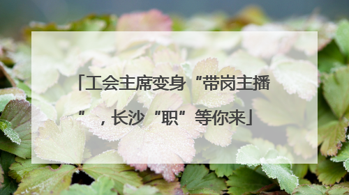 工会主席变身“带岗主播”，长沙“职”等你来