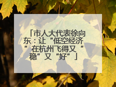 市人大代表徐向东：让“低空经济”在杭州飞得又“稳”又“好”