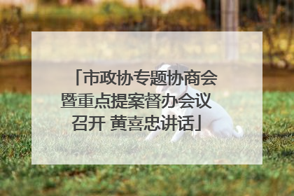 市政协专题协商会暨重点提案督办会议召开 黄喜忠讲话